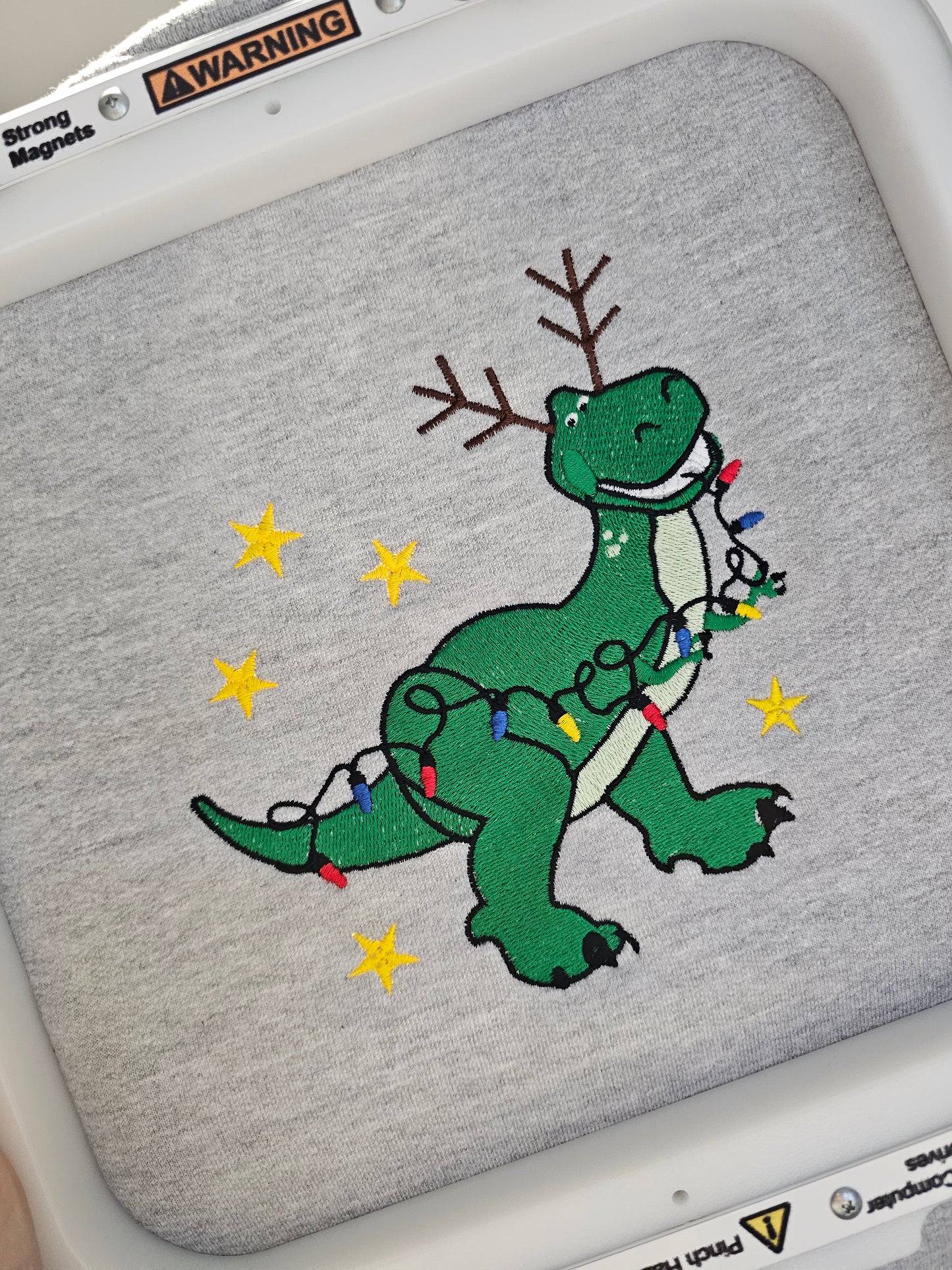 Toy Story Rex Lights Embroidered Sweatshirt